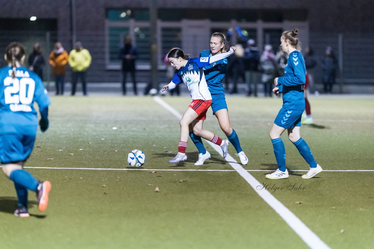 Bild 332 - F SC Alstertal-Langenhorn - Hamburger SV 3 : Ergebnis: 2:2